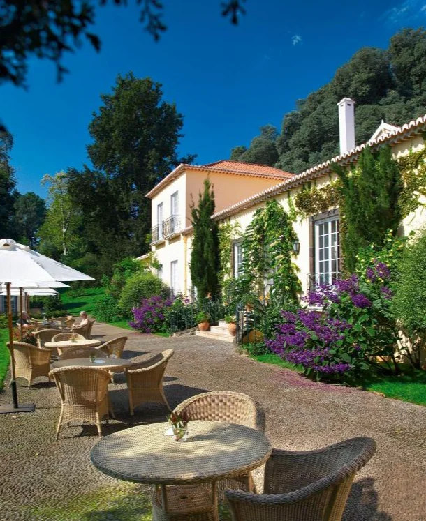 Vasa Velha do Palheiro | tuin